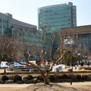 숭실대학교