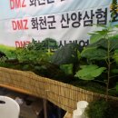 화천살림