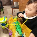 소프트윙즈 이미지