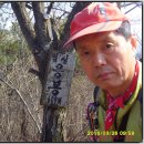 세심 이미지