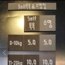 할리우독 네이버블로그