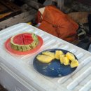 김스타치킨상인점 | 탄자니아 잔지바르 여행 ① 사파리 블루 후기, 예약, 가격, 일정, 사파리블루 블루사파리 차이점