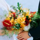 골든결혼정보 이미지