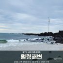 판포서프 이미지