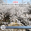 CU 창전숲길점 | 서울숲 벚꽃 사슴 구경하러 가기 / 서울숲 벚꽃길 가는 방법 / 서울숲 피크닉 잔디밭