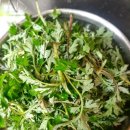 (유)조은환경 이미지