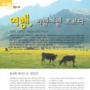 PC사랑 Daum카페