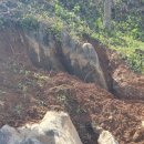 상부농장(2농장) 이미지