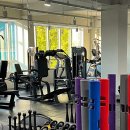 핏티스트 이미지