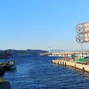 전국일주도보여행제7차 동해안(해파랑길)일주 제11일~12일 이미지