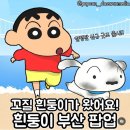 내 마음은 항상 너를 향해 있어