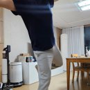 코어소프트 | 발목강화운동과 코어강화 한번에! 신랑 홈트 필수템 소프트레일(Soft Rail) 균형잡기 후기