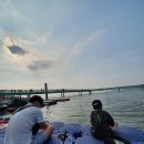 궁평리어촌체험휴양마을 | <동탄 독일 보청기> 화성, 아이와 가볼 만한 곳 -궁평항 망둥어 낚시체험