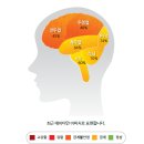 분당사회성 밸런스브레인 분당센터 7세아이 뇌기능검사후기