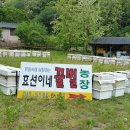 효선이네 이미지