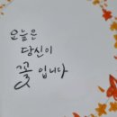 당신이꽃 이미지