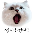 배너미오토캠핑장 이미지