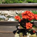 쉬어가는누각 이미지