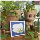 성지미술학원 이미지