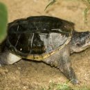 (주)거북 이미지