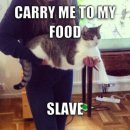 로얄맨션 이미지