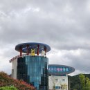 진도개천국 | 진도개테마파크 진도 아이랑갈만한곳 놀이터 진도아리랑식물원