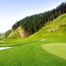 LA골프존 이미지