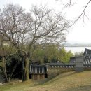 창녕 망우정 이미지