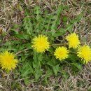 청북중학교 이미지