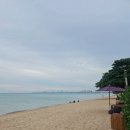 (유)자연택시 | 🌴 태국 파타야 호캉스 여행기 | 유 파타야 호텔 후기