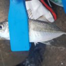 입암2리 이미지