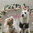 청라유치원 이미지