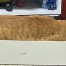 길쭉납짝 이미지
