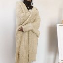 안다로미 이미지