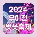 창동라온빛협동조합 | 도봉구 2024 우이천 벚꽃축제 개화상황 행사 먹거리 및 김희재 후기