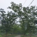 두산목장 이미지