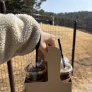 다복파크 | 용인애견카페 | 5000평 야외 운동장 테일45