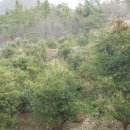 남해-107 이미지