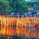 KT함안지점 이미지