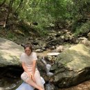 성유리 카카오 검색결과