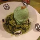 빈트리(Bean Tree)