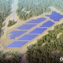 대박 태양광발전소 이미지