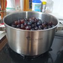 포들포들 이미지