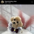 더이쁘개 이미지