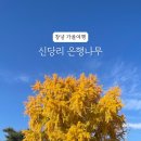 신당리마을회관 이미지