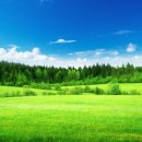"톰 존스 - 고향의 푸른 잔디" / "Tom Jones - The green green grass of home" 이미지