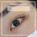 제이유래쉬 | 수원속눈썹 잘하는 곳 제이유래쉬 금곡동 듀얼속눈썹펌 후기
