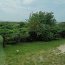 구락다복 이미지