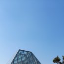 코지아지 이미지