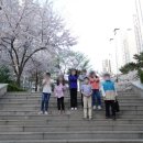 경희대더함태권도장
